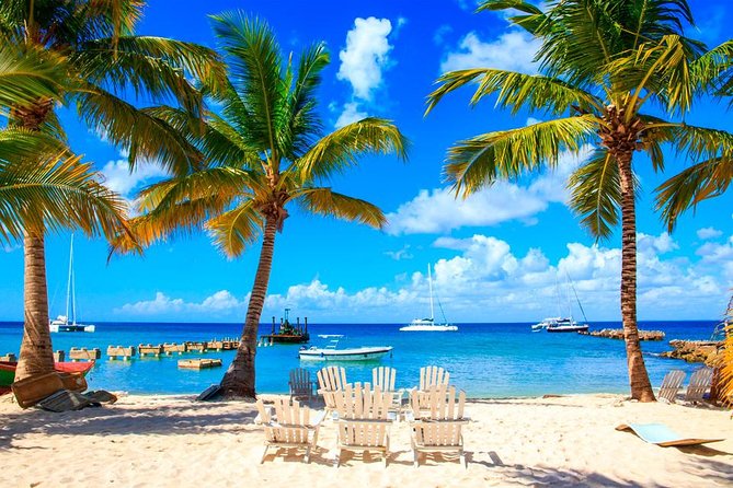 Saona Island by Paradise Travel - Key highlights to know before you go