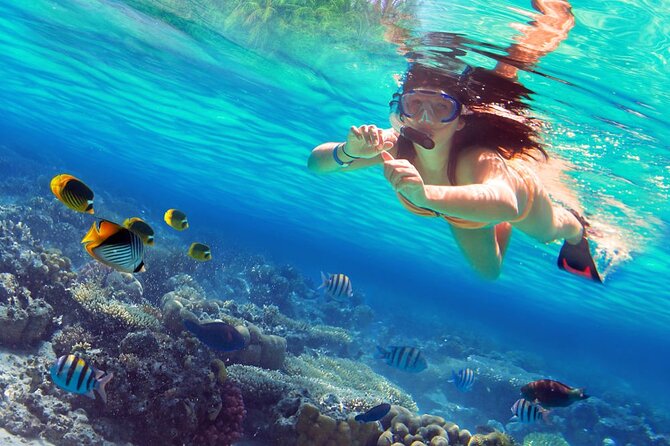 Saona Island by Paradise Travel - Speedboat to the natural pool: fast water and a swim window