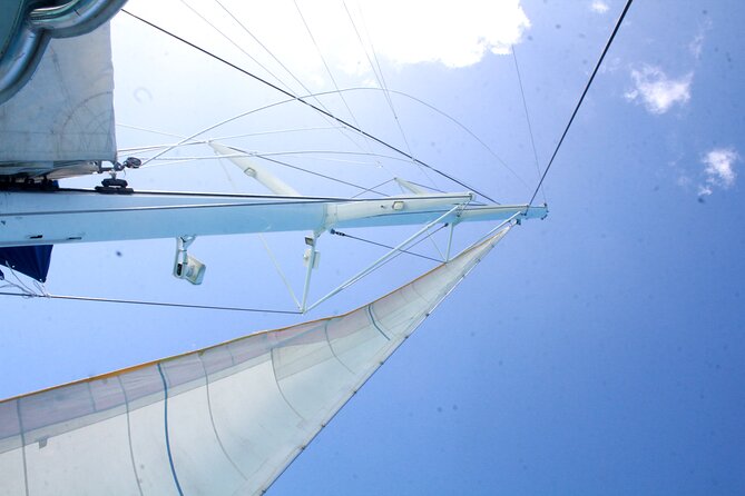 Saona Island by Paradise Travel - What’s not included: photos and DVD add-ons