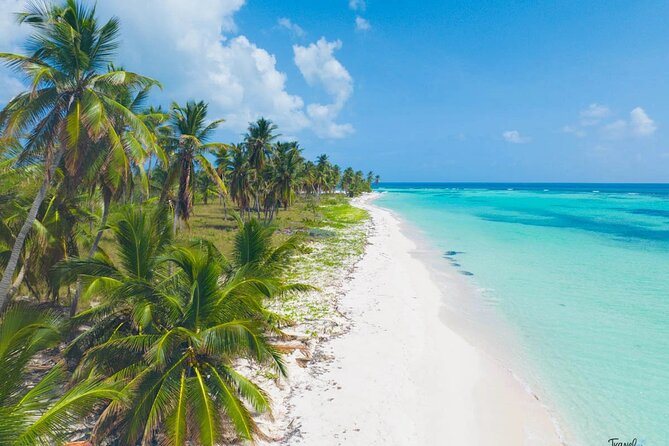 Saona Island Caramaran Adventure from Punta Cana With Lunch - Lunch and included snacks: what you’re actually paying for