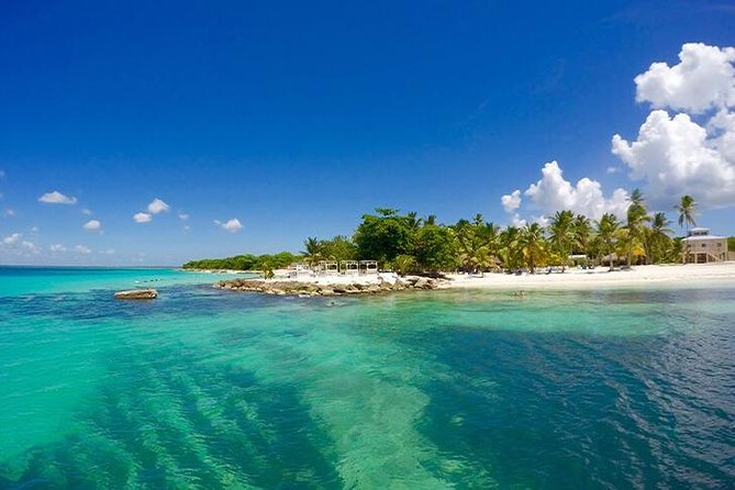 Saona Island Catamaran Cruise Experience (All Inclusive) - Saona Island by catamaran: what this all-inclusive day really delivers