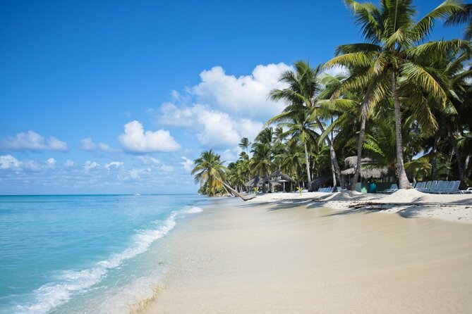 Saona Island Catamaran Cruise Experience (All Inclusive) - Saona Island beach-club time: lunch, open bar, and spending reality