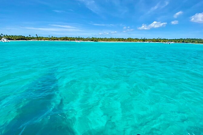 Saona Island Catamaran Cruise Experience (All Inclusive) - Price and value: why $99 can make sense for Saona