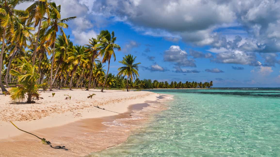 Saona Island: Catamaran Excursion with Lunch and Drinks - Isla Saona Beach Time: White Sand, Swimming, and Photos