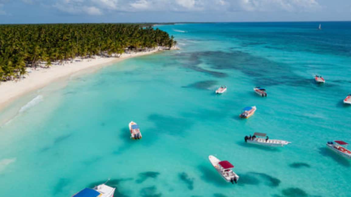 Saona Island: Catamaran Excursion with Lunch and Drinks - Lunch by the Sea at Noon: Dominican Buffet + Unlimited Drinks