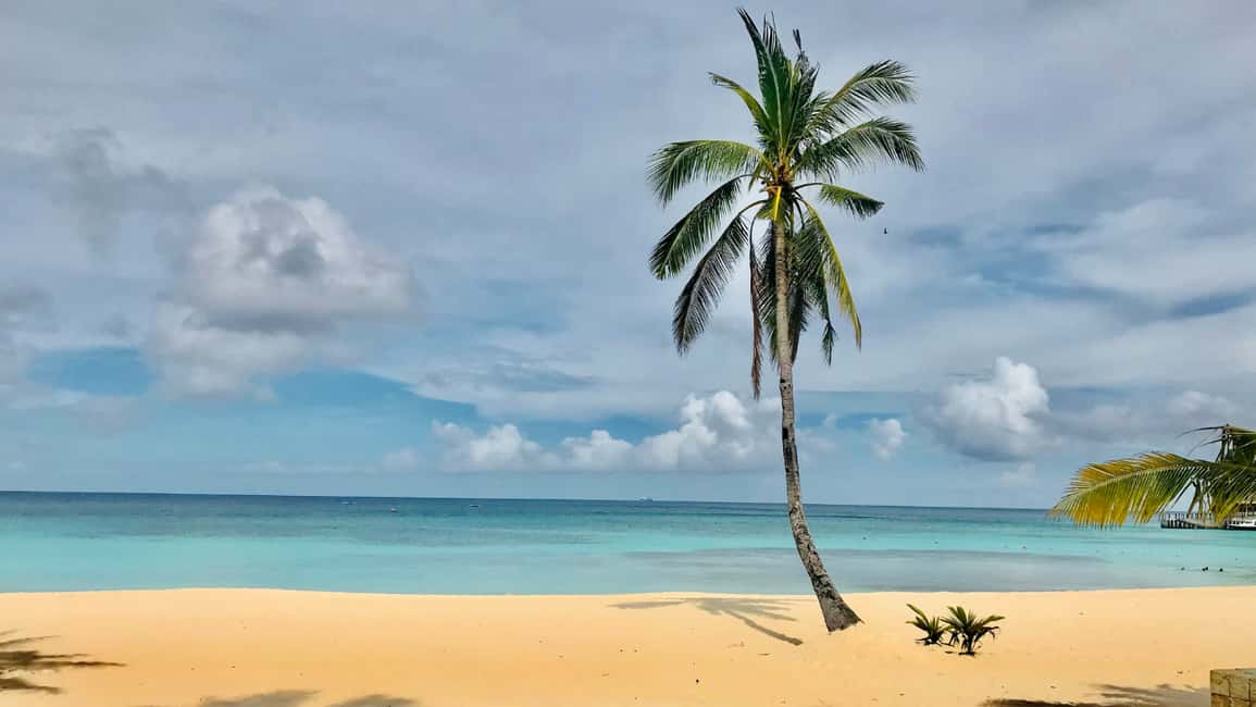 Saona Island: Catamaran Excursion with Lunch and Drinks - Price and Value at $60: What You’re Really Buying