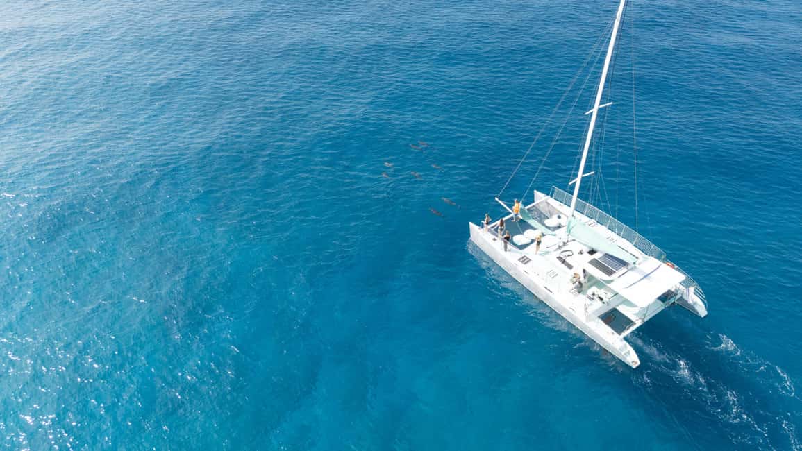 Saona Island: Catamaran Excursion with Lunch and Drinks - Who Should Book This Saona Island Catamaran Day Trip