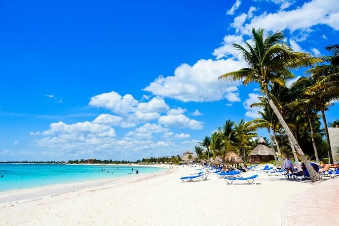 Saona Island Catamaran For Small Group Hotel Pick Food Drink - The “why” behind Saona Island from Punta Cana