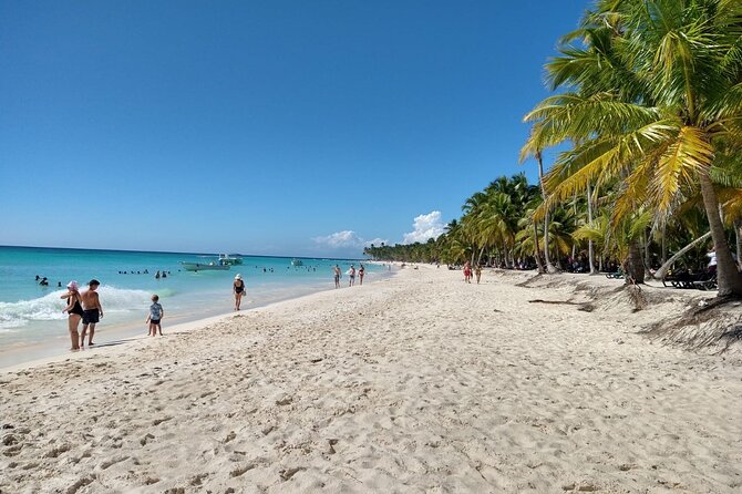 Saona Island Catamaran For Small Group Hotel Pick Food Drink - Swimming, snorkeling, and making the water time count