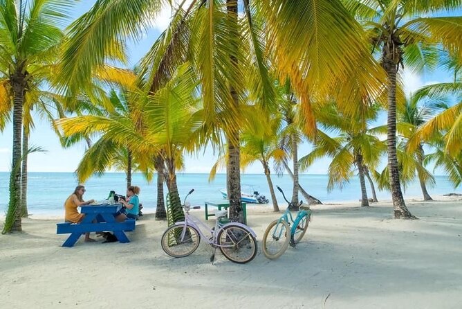 Saona Island Catamaran For Small Group Hotel Pick Food Drink - Traditional lunch: why it matters on an island day