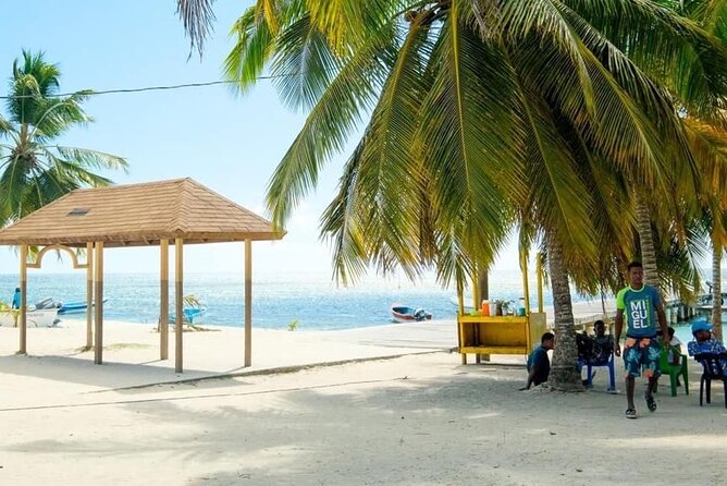 Saona Island Catamaran For Small Group Hotel Pick Food Drink - Price and value: is $96.11 a good deal?