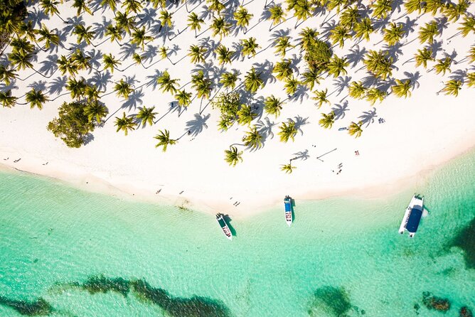 Saona Island Cruise & Private Beach - Key highlights worth your attention