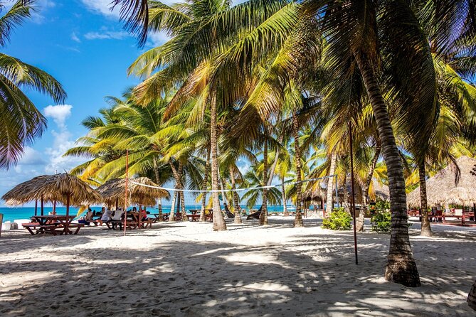 Saona Island Cruise & Private Beach - Bayahibe Departure: How the catamaran and fast boat shape the day