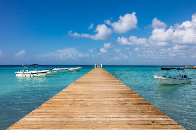 Saona Island Cruise & Private Beach - Snorkel rules you should actually follow (especially about fins)
