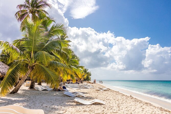 Saona Island Cruise & Private Beach - What to bring and how to plan your comfort for 8 hours