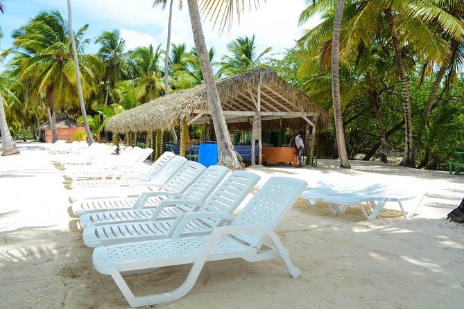 Saona Island Day Trip - The schedule: start time, total hours, and how to manage your day