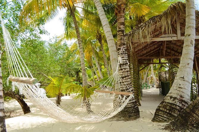 Saona Island Day Trip - What the eco-feedback means for how you should prepare