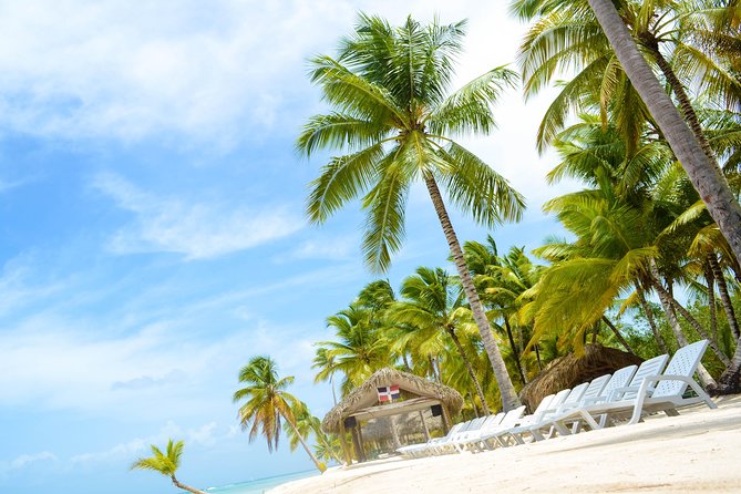 Saona Island Day Trip - Who this Saona day trip suits best