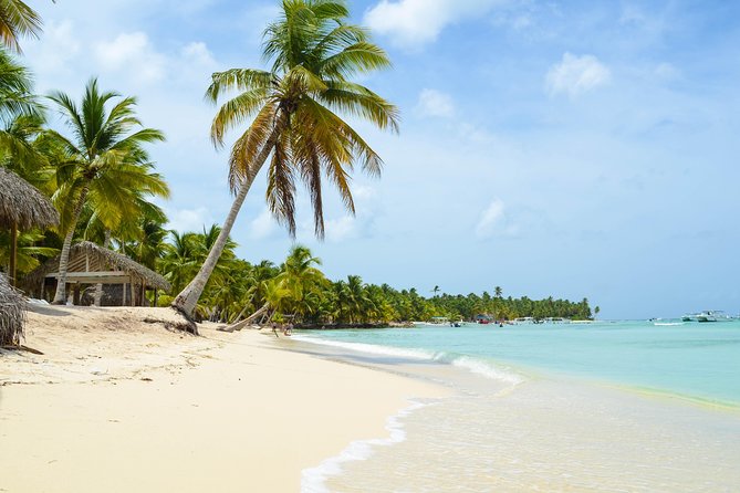 Saona Island Day Trip - Price and value: is $85 per person a fair deal?