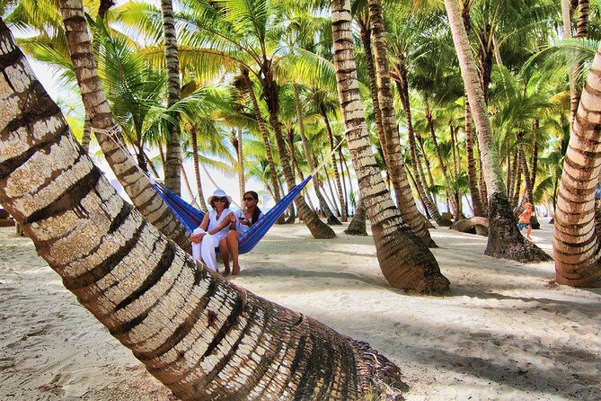 Saona Island Day Trip and Cruise from Punta Cana - Why Saona Island Feels Like a Different World