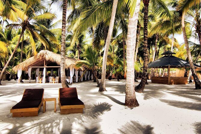 Saona Island Day Trip and Cruise from Punta Cana - Food and Open Bar: What Included Means for Your Budget