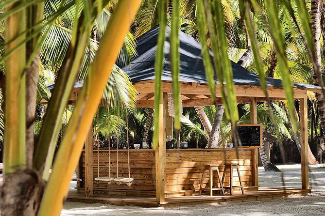 Saona Island Day Trip and Cruise from Punta Cana - Price and Value: How $89 Works for a Full-Day Package