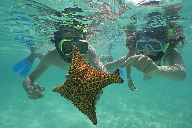 Saona Island Day Trip From Punta Cana with Lunch and Open Bar - Key Things You’ll Want to Know Up Front