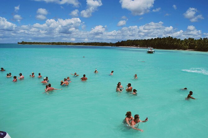 Saona Island Day Trip From Punta Cana with Lunch and Open Bar - Saona Island: why this day trip feels worth leaving Punta Cana