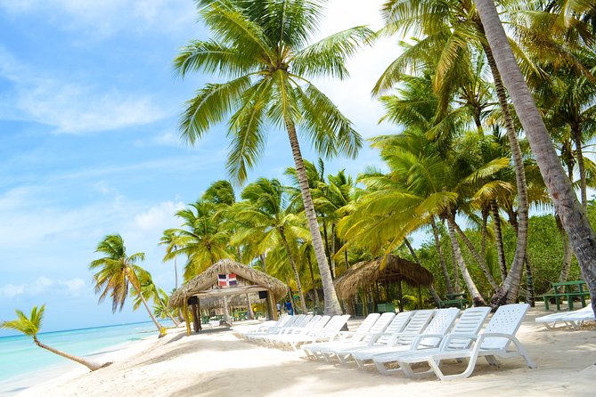 Saona Island Day Trip + Lobsters Included - Playa Palmilla natural swimming pool: knee- to waist-deep, coral-terrace views