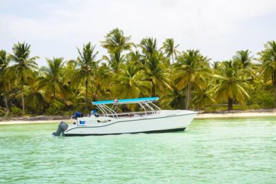Saona Island Day Trip + Lobsters Included - Lobster lunch and included drinks: where the $225 really goes