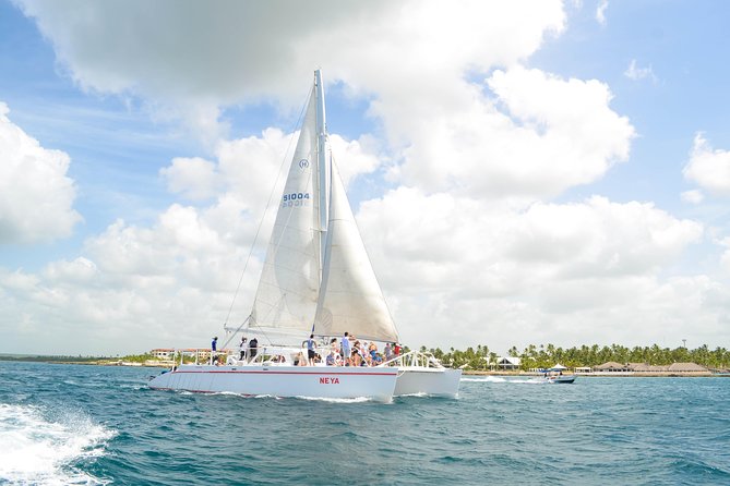 Saona Island Day Trip + Lobsters Included - A private-tour feel with a max of 40 people