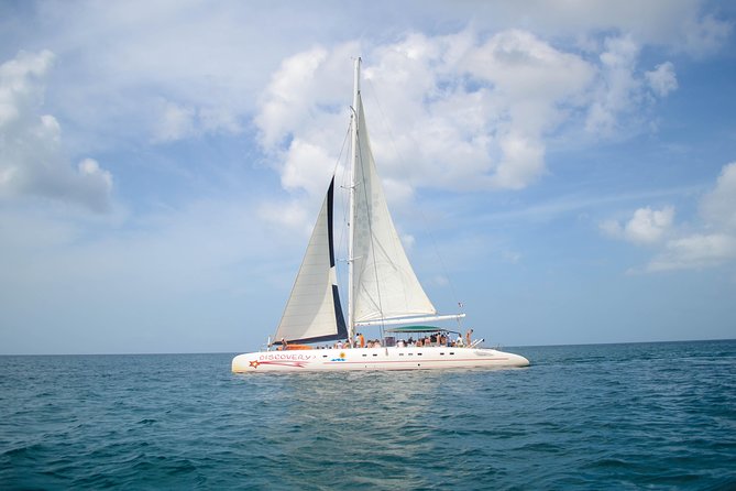 Saona Island Day Trip + Lobsters Included - Price and logistics: does $225 make sense for Saona with lobster?