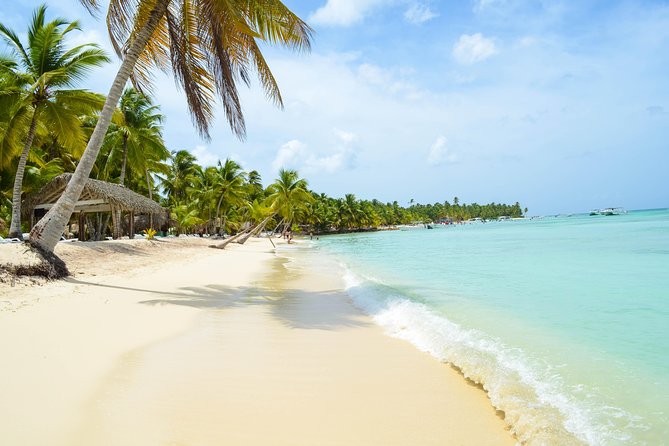 Saona Island Day Trip + Lobsters Included - Weather and timing: the sea decides your schedule
