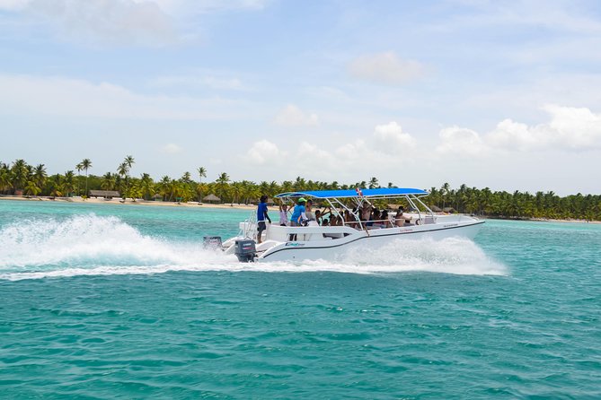 Saona Island Day Trip + Lobsters Included - Who should book this Saona lobster day trip?