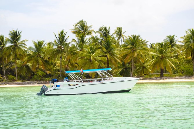 Saona Island Day Trip + Lobsters Included - Lobster lunch and included drinks: where the $225 really goes