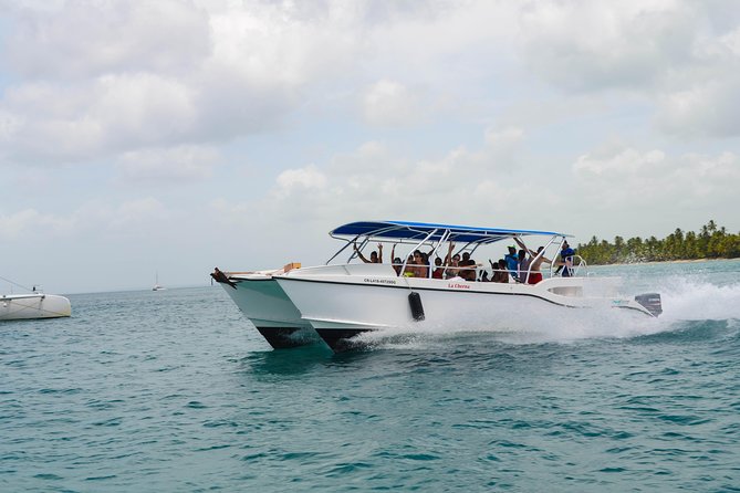 Saona Island Day Trip + Lobsters & Wine Included - The Natural Pool at Playa Palmilla: knees-to-waist water and a coral-terrace setting