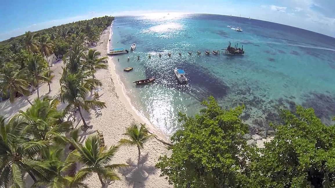 Saona Island from Punta Cana Day Trip with Open Bar - Key things you’ll notice on this Saona Island trip