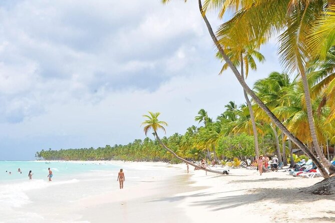 Saona Island from Punta Cana with Transportation and Lunch Included - Getting to Bayahibe: the private transport and speedboat start