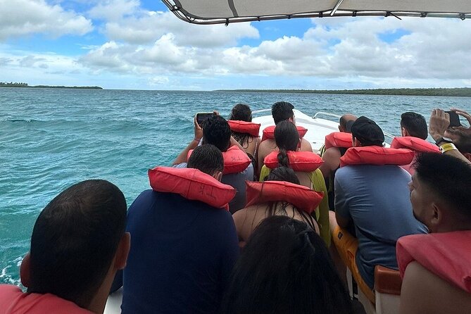 Saona Island from Punta Cana with Transportation and Lunch Included - Price and value: why $75 makes sense for this mix