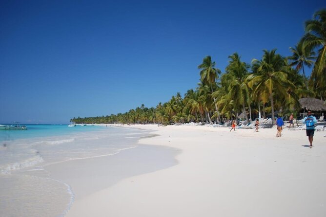 Saona Island Full Day Adventure From Punta Cana & Bavaro - Water Activities: Snorkeling and Parasailing on Your Day