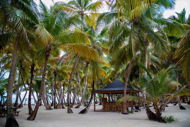 Saona Island Full Day Adventure From Punta Cana & Bavaro - Comfort and Practicalities on the Boat and Van