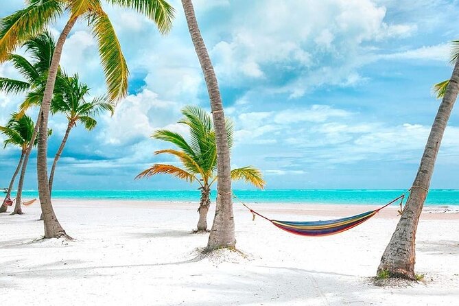Saona Island Full Day Adventure From Punta Cana & Bavaro - Value Check: Does $79 Buy You Enough?