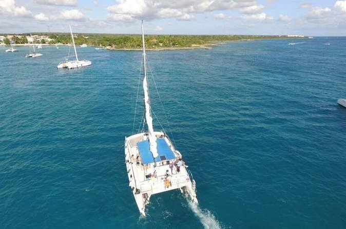 Saona Island Full-Day Excursion - Organization and Group Size: The Good and the Not-So-Perfect