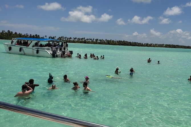 Saona Island Full Day From Punta Cana - Quick Key Points Before You Go