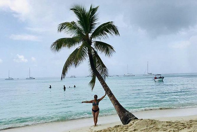 Saona Island Full Day From Punta Cana - Where the Day Really Feels Long: Transfers, Ports, and Timing