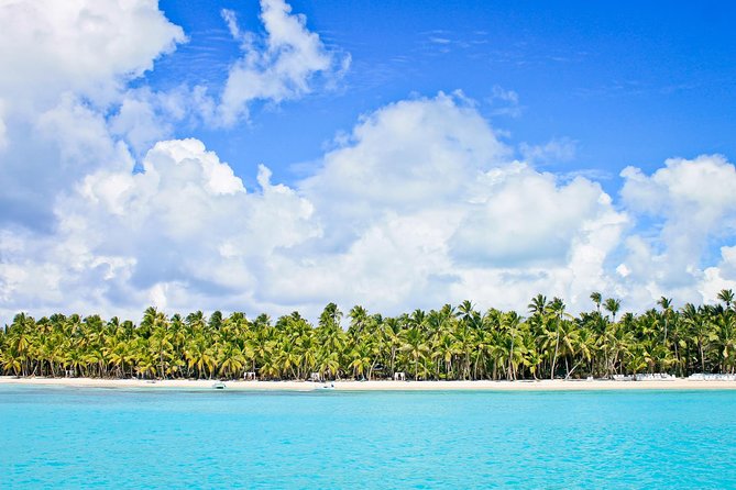 Saona Island Full Day From Punta Cana - Price and Value: What You’re Actually Buying for $59.99