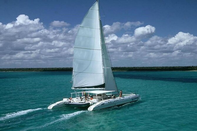 Saona Island Full Day Tour Lunch and Transportation Included - Key things I’d bet on before you book