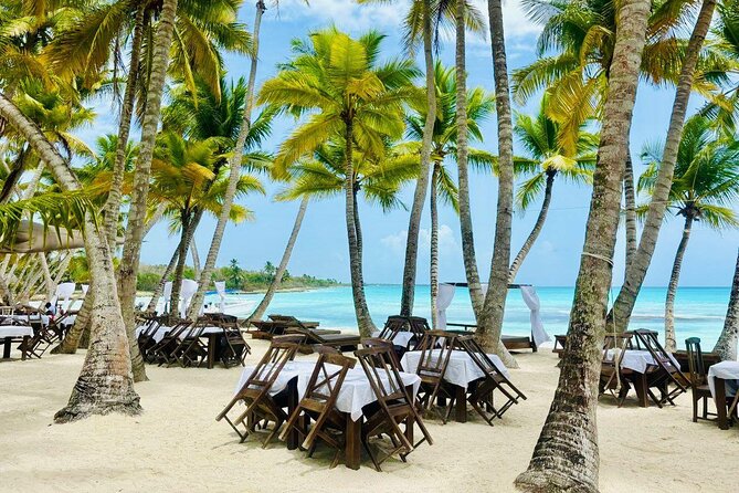 Saona Island Full Day Tour with Buffet Lunch, Paella, & Open Bar - Quick take: what matters most