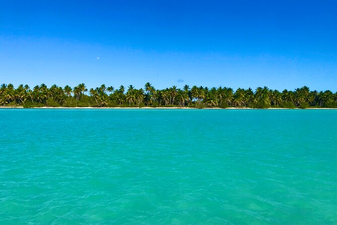 Saona Island Full Day Tour with Buffet Lunch, Paella, & Open Bar - Saona Island beach time plus paella at your own table