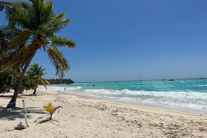 Saona Island Full Day Tour with Buffet Lunch, Paella, & Open Bar - Price and value from Punta Cana: is $75 fair?